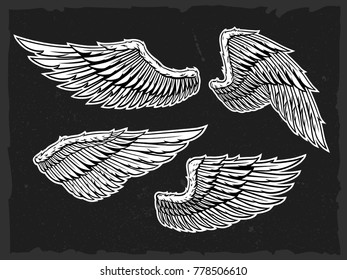 hand draw wings vector set