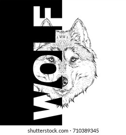 Hand draw wolf portrait. It may be used for design of bag, postcard and poster. Vector illustration