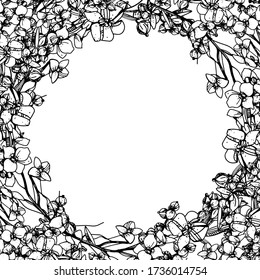 Hand draw wreath and botanic elements.