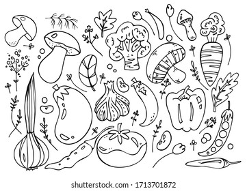 HAND DRAWED BLACK AND WHITE VEGETABLES, MUSHROOMS, HERBS, 
onions, garlic, eggplant, tomato, paprika, pepper, hot pepper, beans, beans, cabbage, peas, carrots, dill, parsley