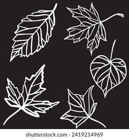Hand drawing aart of leaf. Vector illustration.