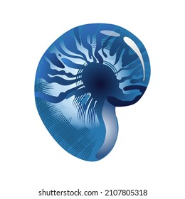 Hand drawing abstract blue colors seashell. Shell freehand illustration. Use for poster, card, print, postcard, textile, fabric, design
