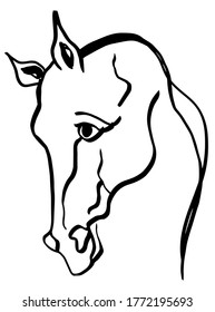 Hand Drawing Abstract Horse Head Portrait Logo Icon Vector Pattern Isolated Background