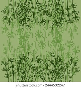 Hand drawing of abstract leaf illustration background pattern and border ftrame vector
