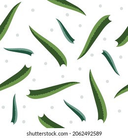 Hand drawing Aloe vera leaf seamless pattern, vector illustration.