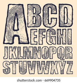 Hand Drawing Alphabet. Typography Collection. Vector Illustration.