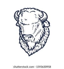 Hand drawing of American bison on a light background. Buffalo in vintage engraving style. Vector retro illustration.