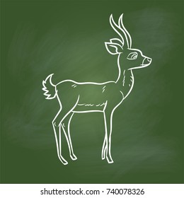Hand drawing Antelope Cartoon on textured green board. Education Concept, Vector Illustration