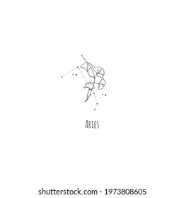 Hand drawing Aries constellation symbol with floral branch and stars. Modern minimalist mystical astrology aesthetic illustration with zodiac signs