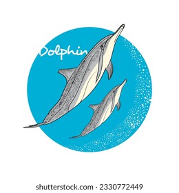 hand drawing art dolphins badge vector  illustration