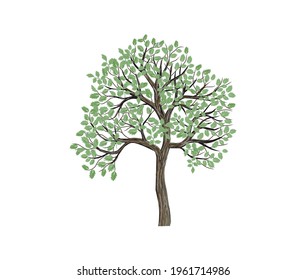 hand drawing art of a tree vector isolated