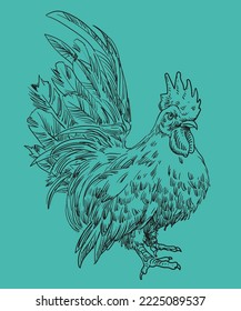 hand drawing assorted chickens vector illustration clip art