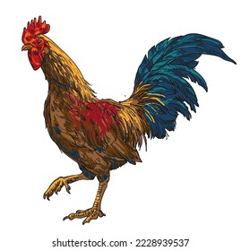 hand drawing assorted chickens vector illustration clip art