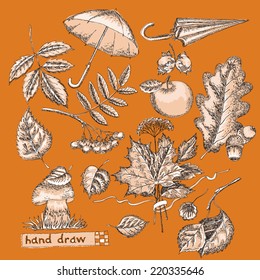 Hand drawing with autumn  design element