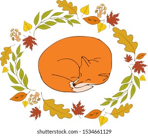 Hand drawing autumn sleeping fox with leaf