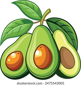 Hand drawing avocados fruit set half slices  isolated vector on white background