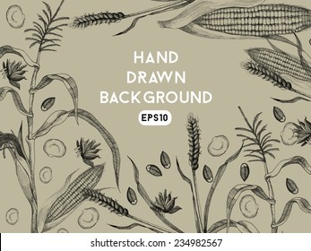 Hand drawing background with wheat and corn