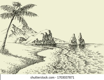 Hand drawing of a beach, palm trees and rocky seashore