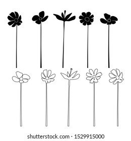 Hand drawing beautiful bouquet of wild flowers, daisy,chamomile, pen line isolated on white background
