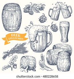 Hand drawing beer set. Vector illustration of beer and Raw material for brewing. Elements for ale, beer, lager labels, packaging and pub menu.