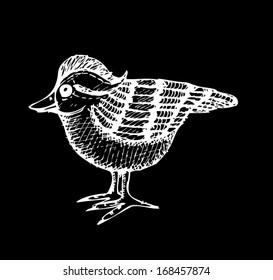 Hand Drawing Bird 