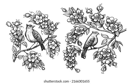 Hand drawing bird on tree branch. Nightingale and flowers in vintage engraving style. Sketch vector illustration