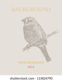 Hand drawing bird sketch vector eps 8