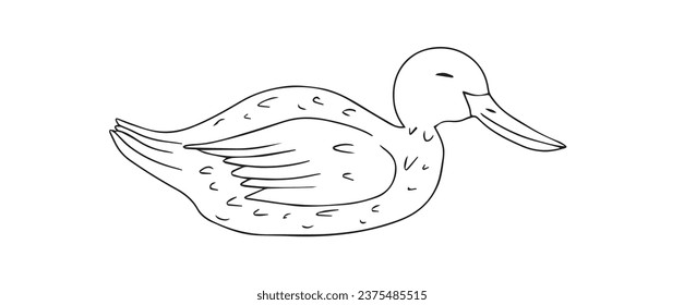 hand drawing black line aniam duck isolated on white background