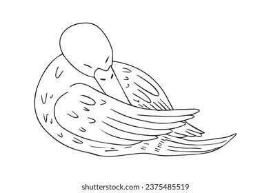 hand drawing black line aniam duck isolated on white background