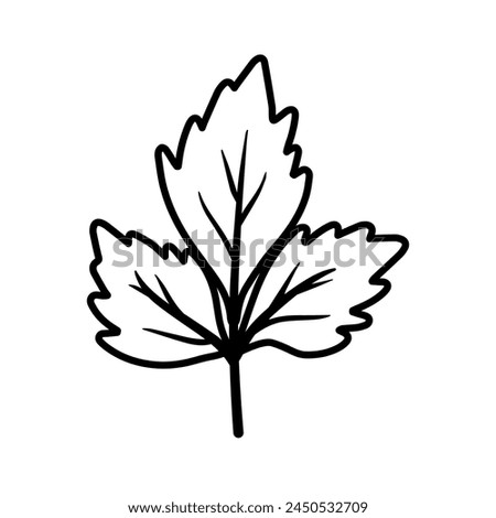 Hand Drawing Black Line Art Celery or Parsley leaf vector, Fresh Vegetable with green leaves doodle animated cartoon for Aromatic Seasoning Food Ingredient isolated on white background