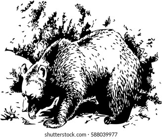 Hand drawing black and white engrave isolated vector bear in the forest