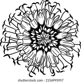 Hand Drawing of Blue Gem Flower to Color for Kids, 17 May 2022
