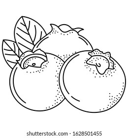 Hand drawing blueberries; doodle berries for stickers, posters, web design. Black and white vector illustration.