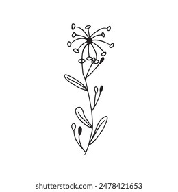 hand drawing botanical flower and leaves