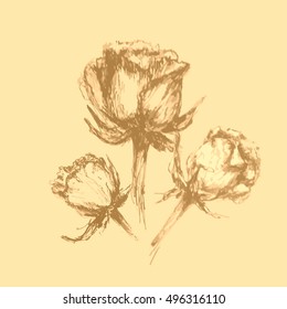 hand drawing bouquet