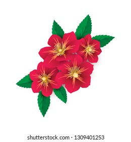 Hand drawing bouquet of flowers of Clematis or Traveller's joy isolated on white background. Floral template for design, print, poster, party, spring, summer background, clip art, t-shirt. Vector.