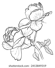 dibujo a mano de un ramo de ilustraciones vectoriales de rosas