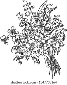 Hand drawing of a bouquet of spring flowers