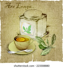 hand drawing of box of tea, cup of tea, tea leaves,lemon on canvas.vector illustration