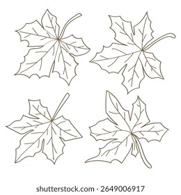 Mão desenhando coleção de arte de linha de folha de bordo marrom. Ilustração vetorial