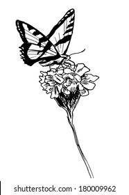 Hand drawing a butterfly and flower. Vector illustration