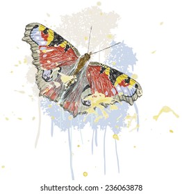 hand drawing butterfly on smeared paint brush