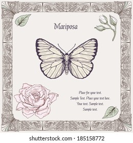 hand drawing butterfly rose buds and leaves with decorative frame vintage engraving style