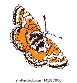 Hand drawing butterfly, vector illustration