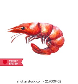 Hand Drawing By Water Color A Seafood ,shrimp