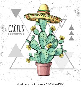 Hand drawing cactus in sombrero hat on grunge triangle background. Vector illustration