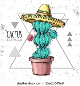 Hand drawing cactus in sombrero hat on grunge triangle background. Vector illustration