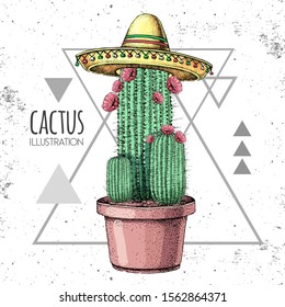 Hand drawing cactus in sombrero hat on grunge triangle background. Vector illustration