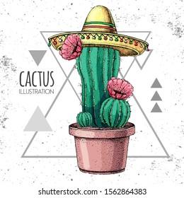 Hand Drawing Cactus In Sombrero Hat On Grunge Triangle Background. Vector Illustration