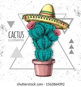 Hand drawing cactus in sombrero hat on grunge triangle background. Vector illustration